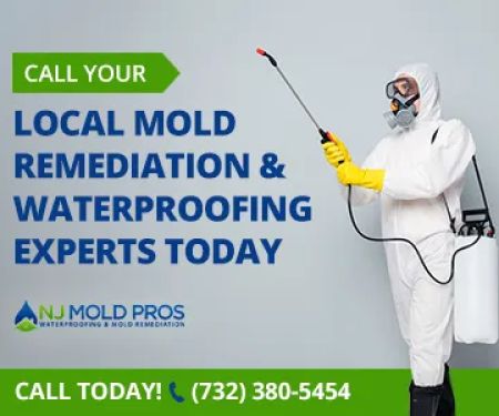 NJ Mold Pros