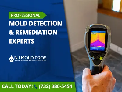 NJ Mold Pros Picture 6