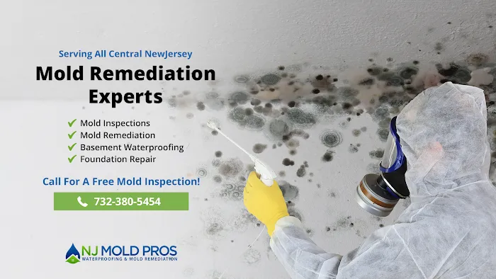 NJ Mold Pros Picture 8