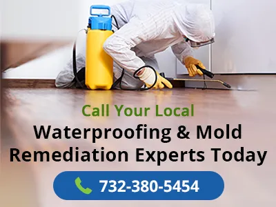 NJ Mold Pros Picture 3