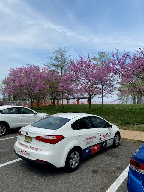 PuroClean of Toms River Picture 6