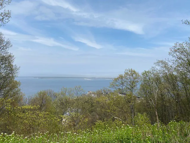 PuroClean of Toms River Picture 10