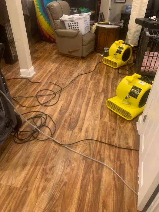 All Atlantic Picture 6