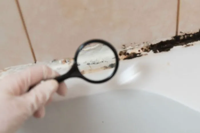 Patriot Property Restoration Services LLC Picture 5