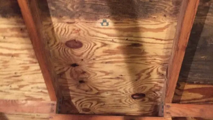 American Specialists LLC Picture 1