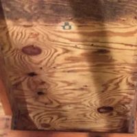 American Specialists LLC ico