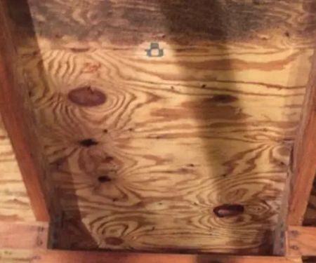 American Specialists LLC