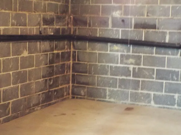 Waterproofing 4 Less LLC Mold Remediation And Waterproofing Specialist Picture 6