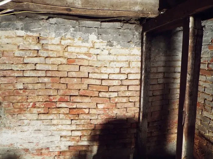 Waterproofing 4 Less LLC Mold Remediation And Waterproofing Specialist Picture 3