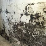 Waterproofing 4 Less LLC Mold Remediation And Waterproofing Specialist