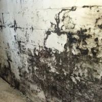 Waterproofing 4 Less LLC Mold Remediation And Waterproofing Specialist ico
