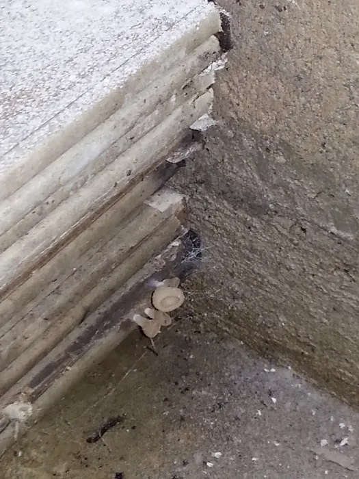 Waterproofing 4 Less LLC Mold Remediation And Waterproofing Specialist Picture 7