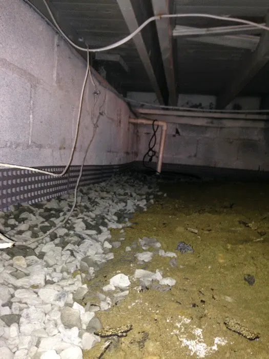 Four Leaf Restoration Waterproofing and Mold Remediation Picture 9