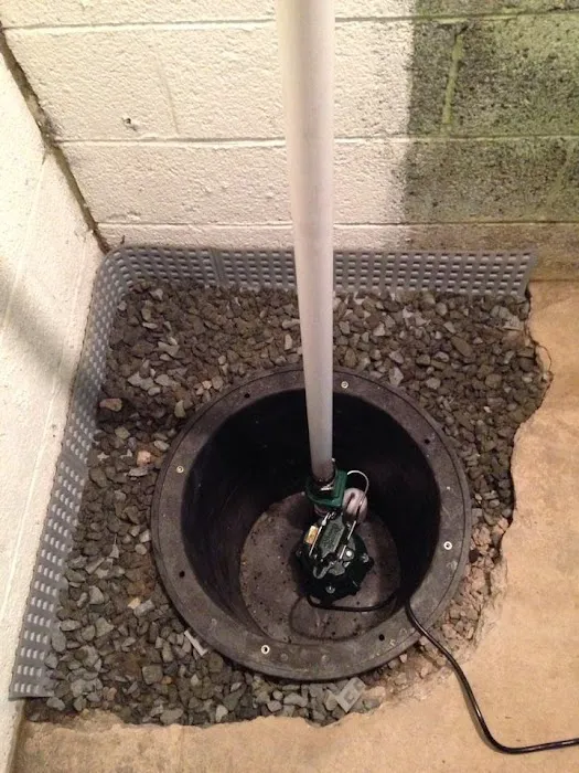 Four Leaf Restoration Waterproofing and Mold Remediation Picture 8