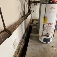 Four Leaf Restoration Waterproofing and Mold Remediation ico