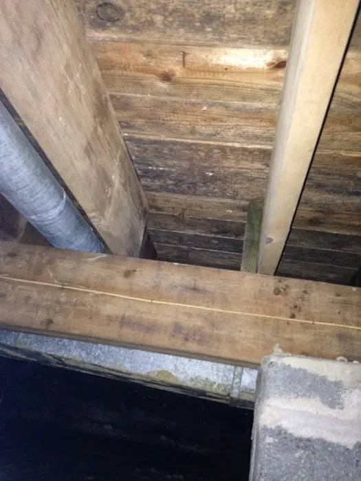 Four Leaf Restoration Waterproofing and Mold Remediation Picture 2