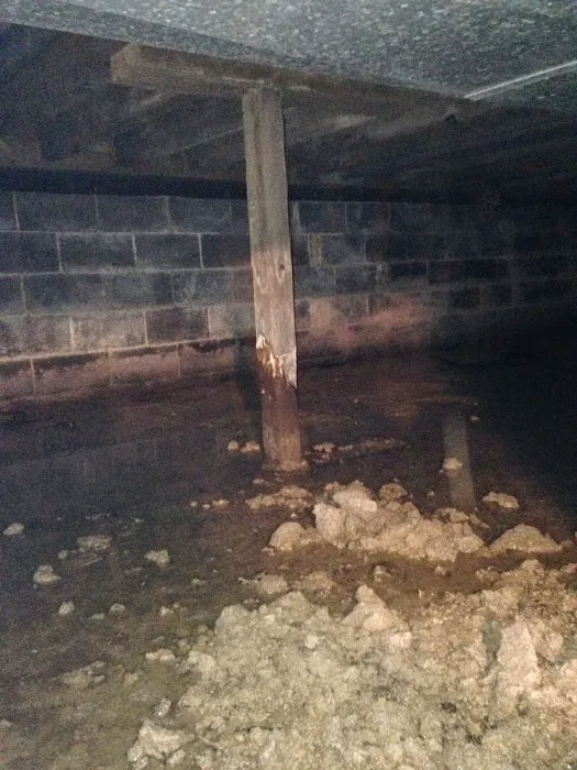 Four Leaf Restoration Waterproofing and Mold Remediation Picture 4