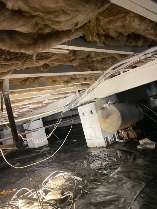 Four Leaf Restoration Waterproofing and Mold Remediation Picture 10