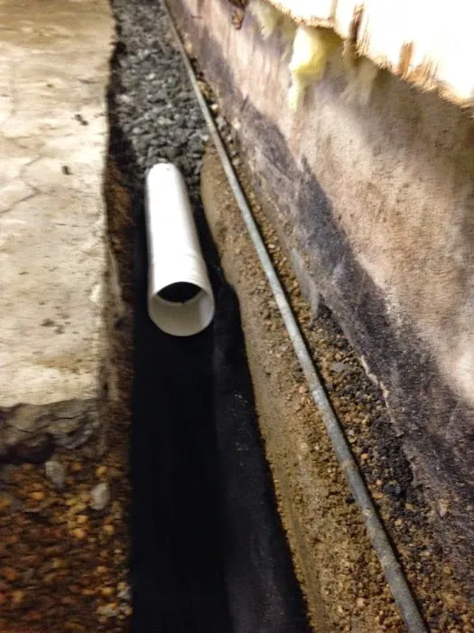 Four Leaf Restoration Waterproofing and Mold Remediation Picture 5