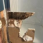 AdvantaClean of Gloucester and Camden Counties