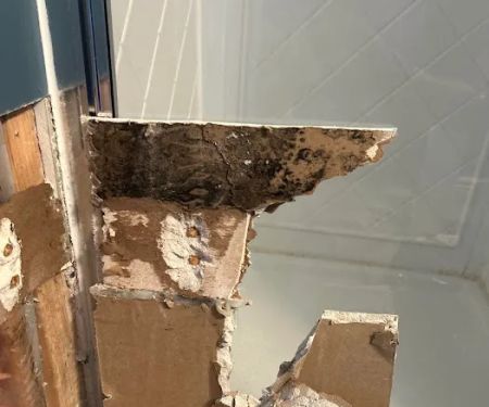 AdvantaClean of Gloucester and Camden Counties