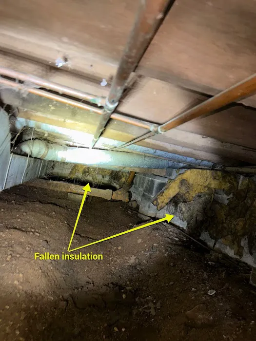 AdvantaClean of Gloucester and Camden Counties Picture 5