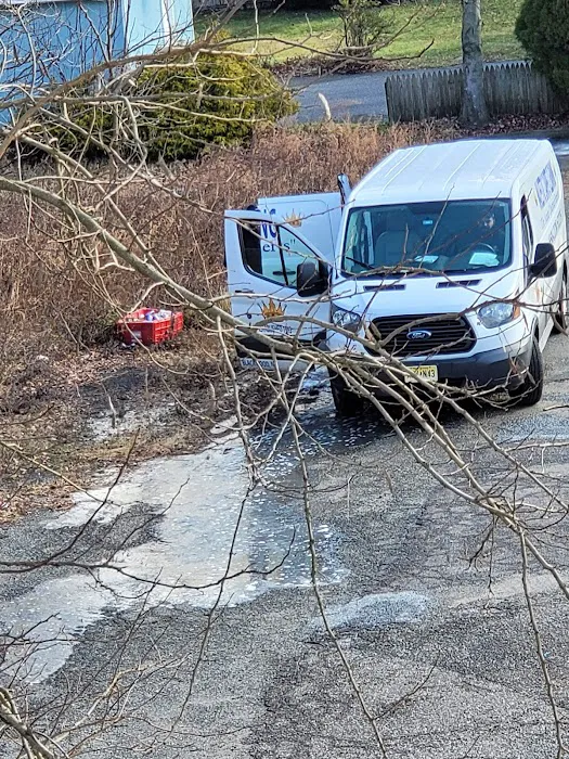 Majestic Maintenance Picture 5