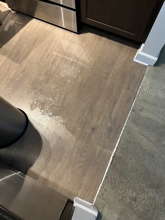 Peerless Carpet Care Picture 6