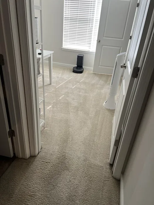 Peerless Carpet Care Picture 3