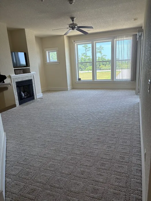 Stanley Steemer Picture 4