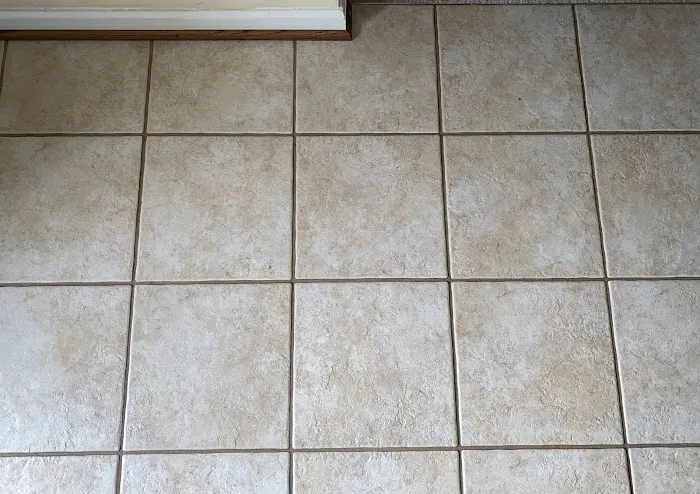 Stanley Steemer Picture 8