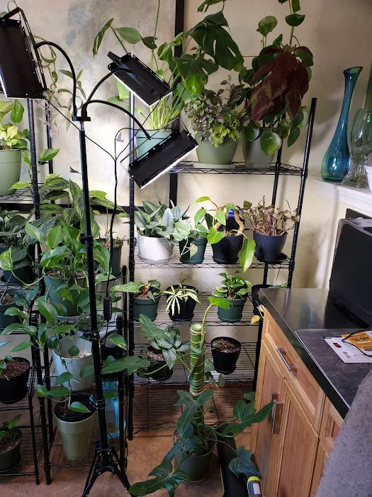 Stanley Steemer Picture 2