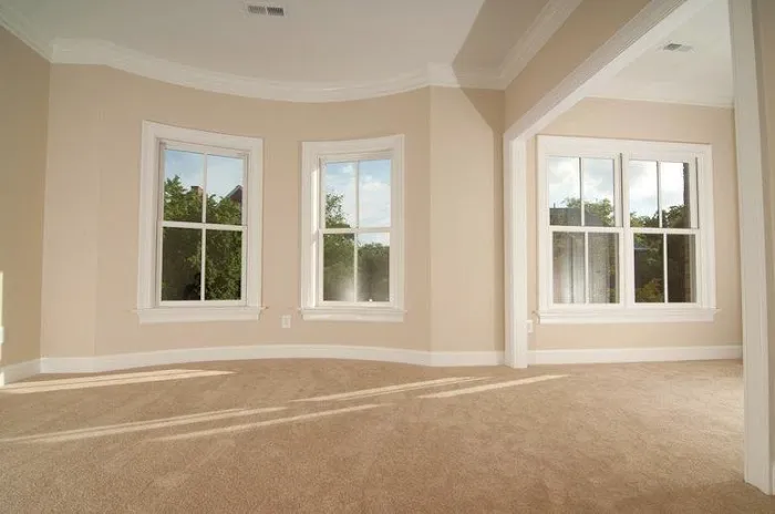 United Inc. Picture 4