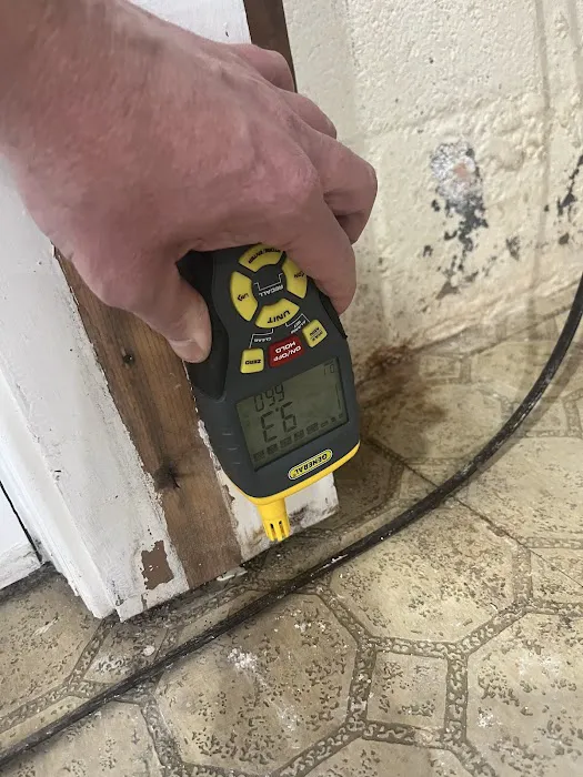 Neptune Restoration Picture 8