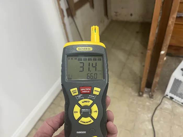 Neptune Restoration Picture 5