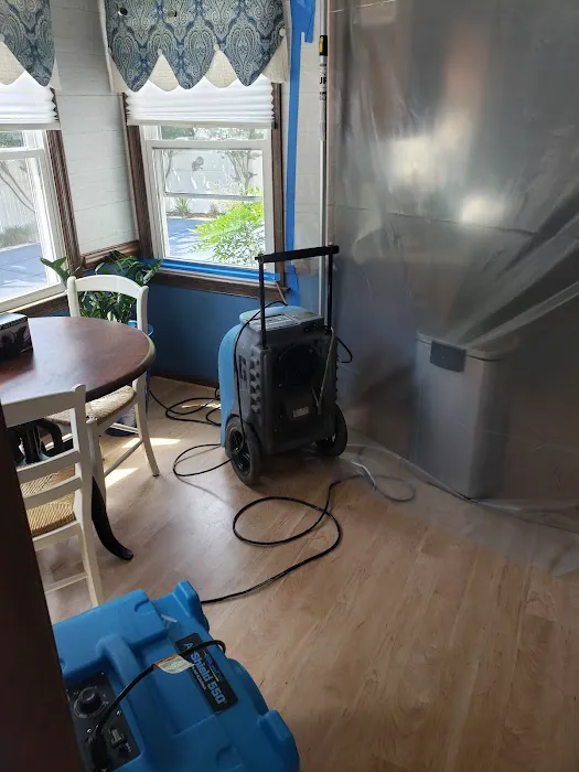 Neptune Restoration Picture 7