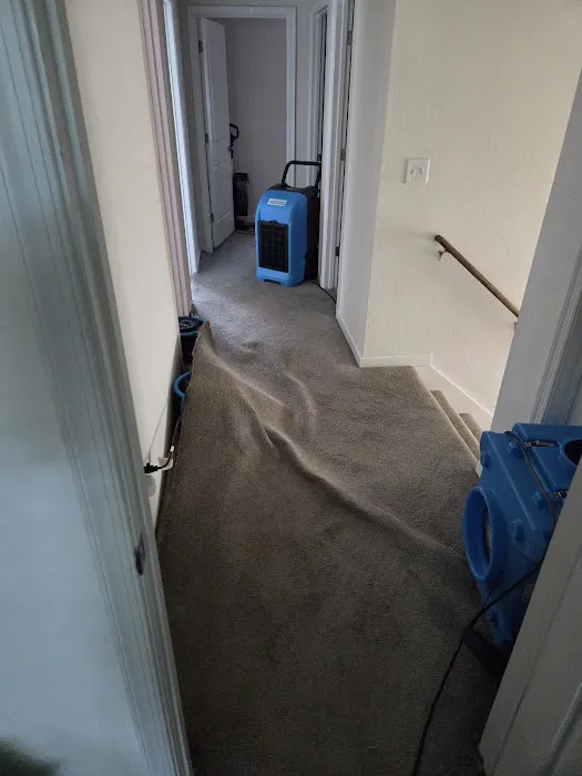 Neptune Restoration Picture 6