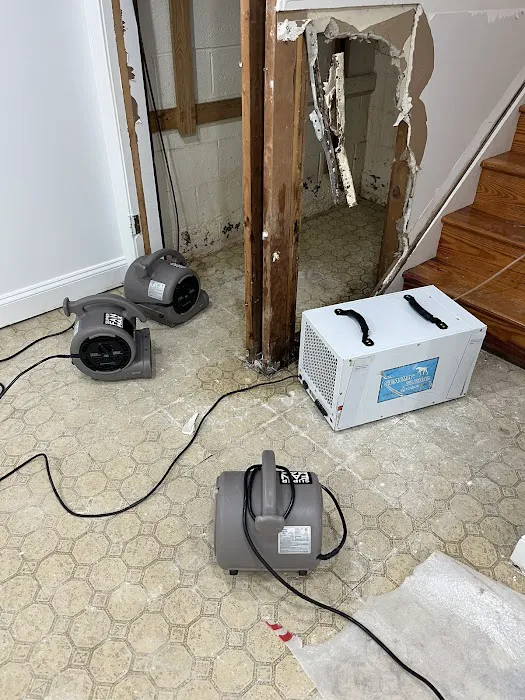 Neptune Restoration Picture 3