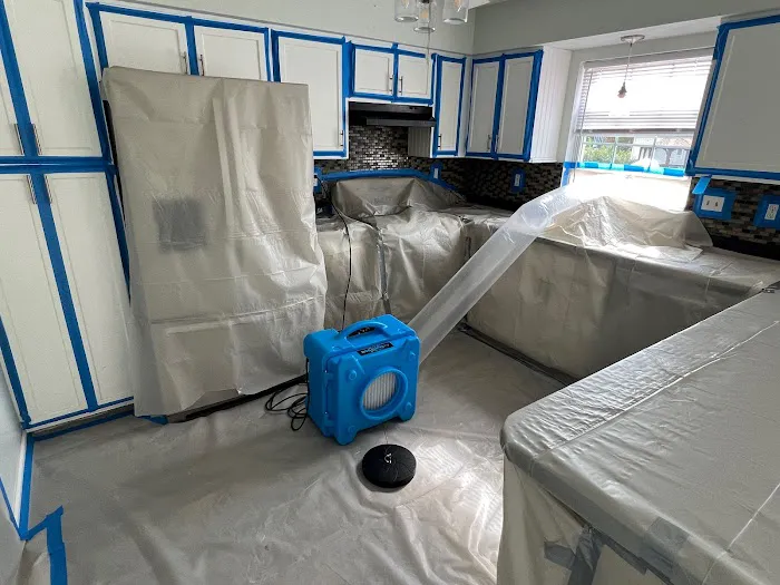 Neptune Restoration Picture 2