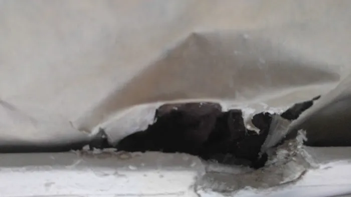 Advanced Restoration Services, Inc. Picture 3