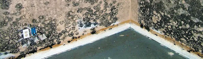 Advanced Restoration Services, Inc. Picture 7