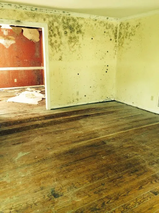 Inside Design Steam Cleaning Picture 7