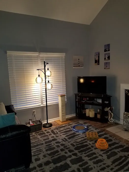 Evia Painting Picture 8