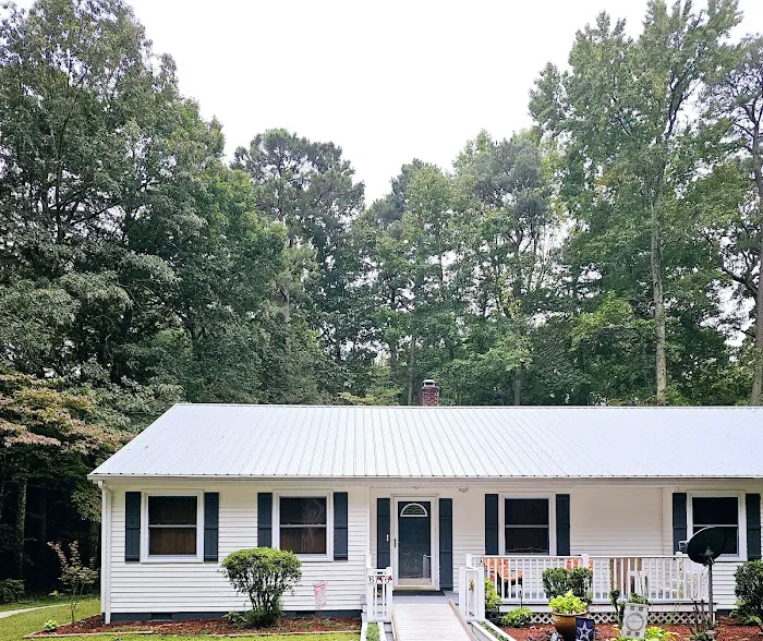 Evia Painting Picture 7