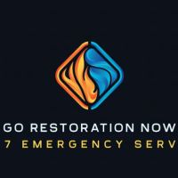 GO Restoration Now ico