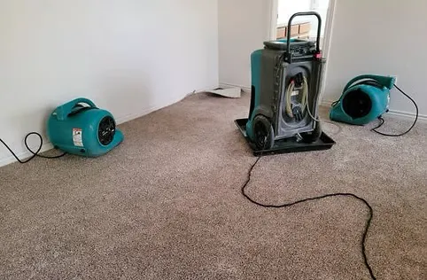 GO Restoration Now Picture 3