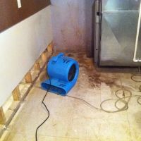 Affordable Port Service ico