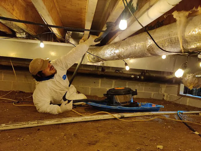 HS Restoration Picture 4