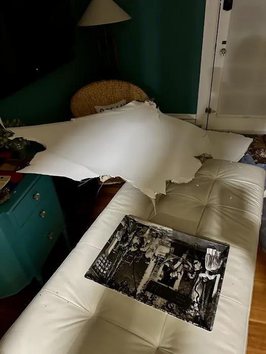 HS Restoration Picture 8