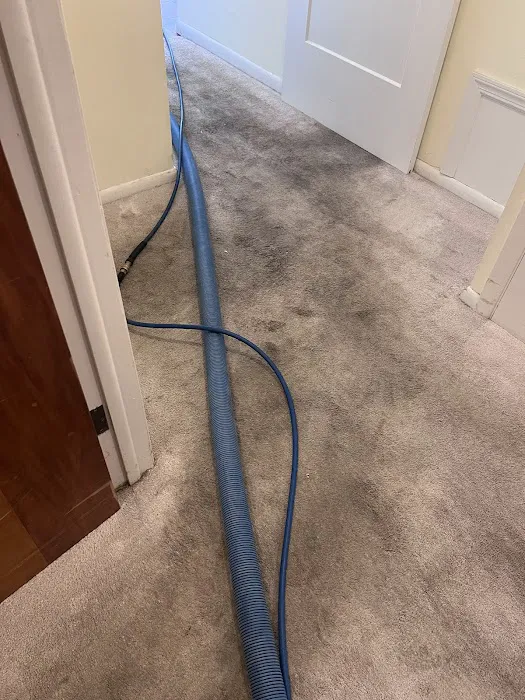 TopSteam Carpet, Upholstery, Tile & Grout Cleaning LLC Picture 6